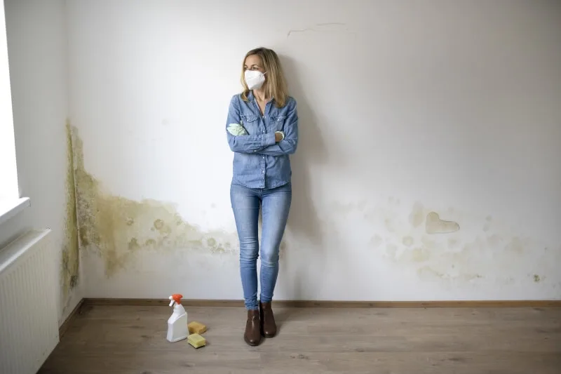 Effective mold removal: Your path to a healthier home with Maler Iten GmbH
